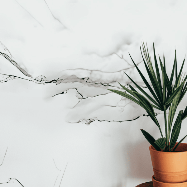 Панель PVC Stella Marble Белая Ночь 2800*1200*1,2мм